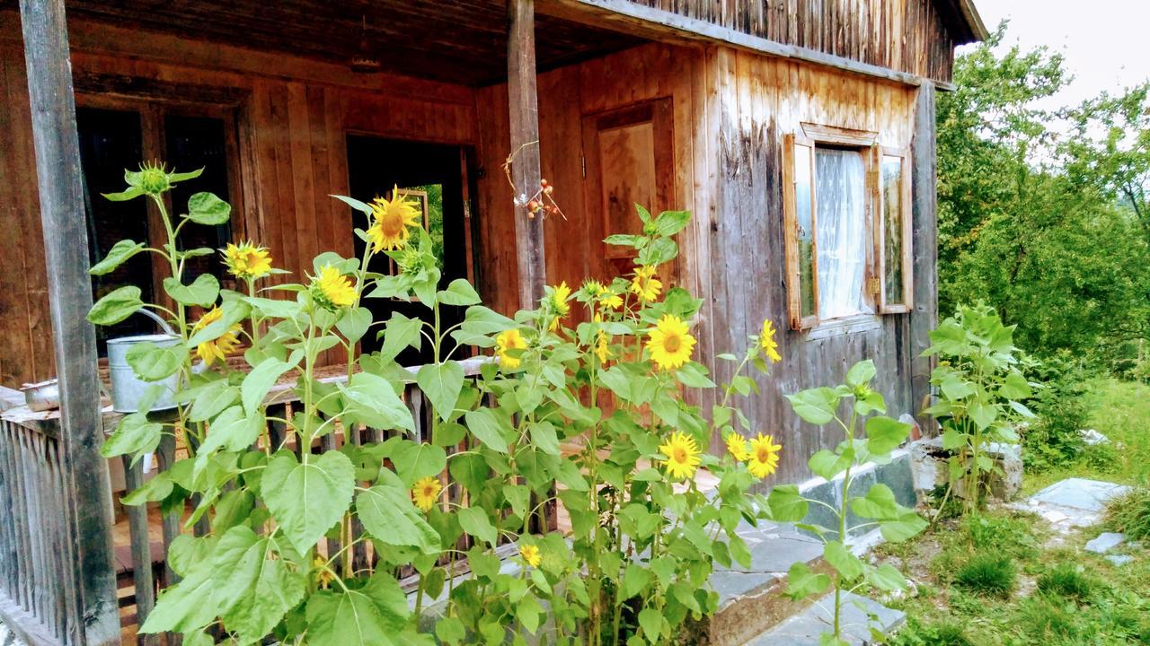 Discover Kinchkha Satsiskvilo Exterior foto